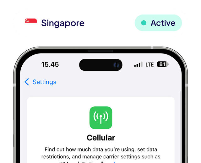 connect